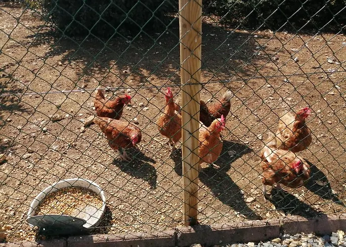 Nyaraló Bin Benaise Sans Linge Pamproux